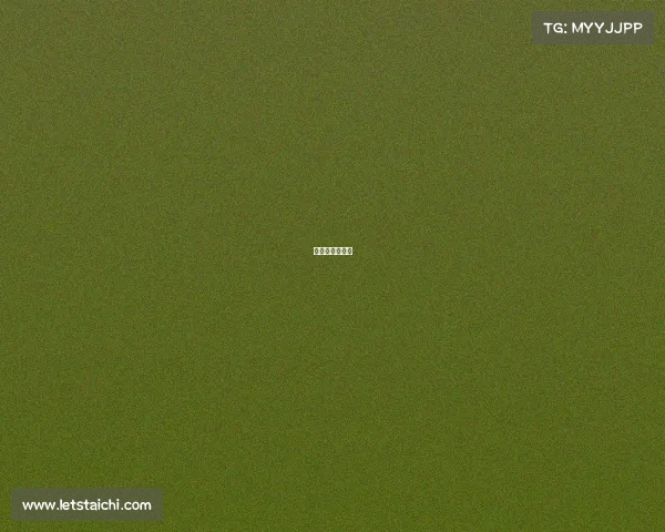 格斗大赛叫什么