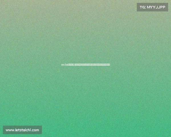 wcba赛程排名,中国女子篮球协会赛事执行优化策略与实践探索研究报告