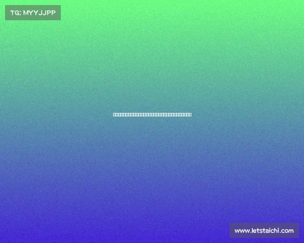 辽宁马拉松盛会激情开跑连接全省城市共享健康运动魅力探索海滨风情