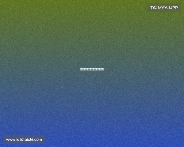 搏击赛事成本预算、搏击比赛赚钱吗